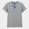 Adult t-shirt Heavy Cotton Thumbnail